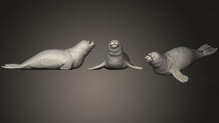 3D model Seal (STL)